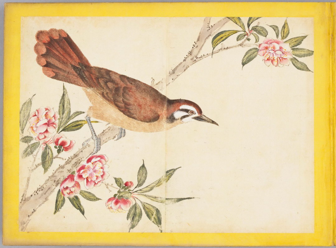 《百花鸟图》珍稀花卉与鸟类工笔画