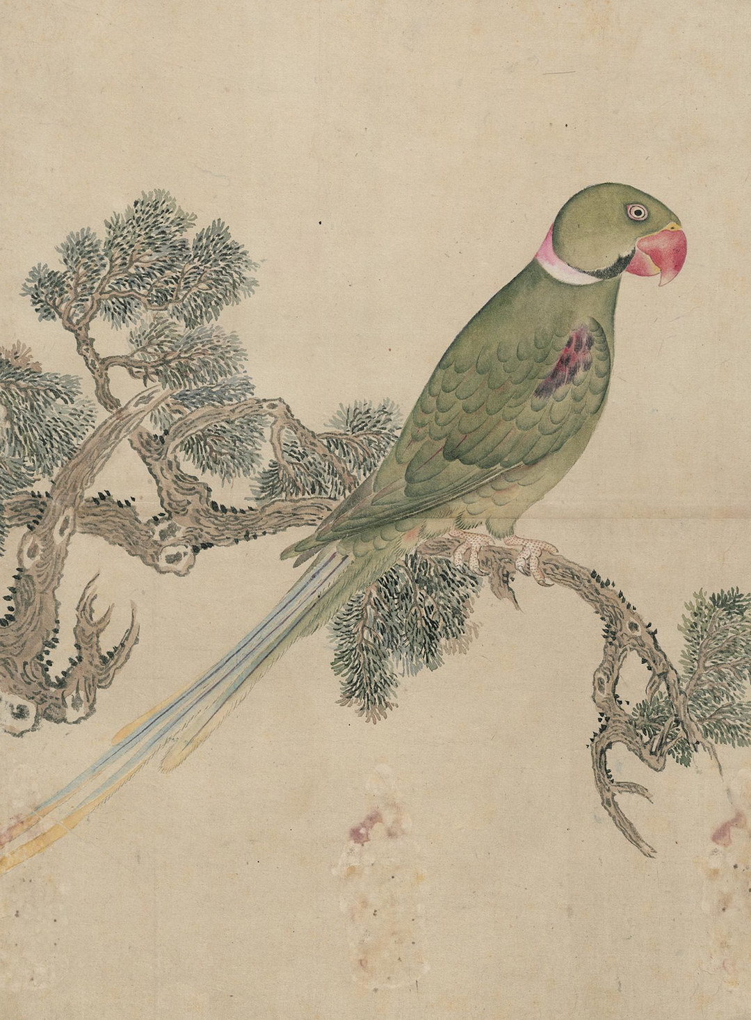 《花鸟图图册》彩绘珍稀花卉与鸟类